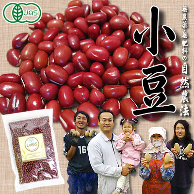 【自然農法・有機JAS認証】北海道十勝産 折笠農場の自然農法小豆 250g