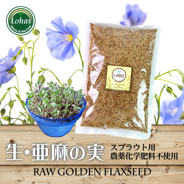 有機栽培スプラウト用 生ゴールデンフラックスシード （亜麻の実）Raw・非加熱